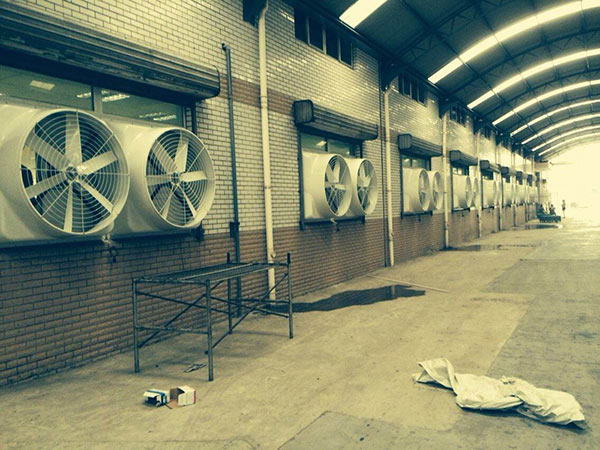 ؓ(f��)���L(f��ng)�C����